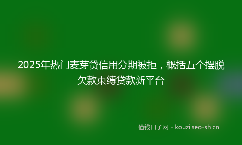 2025年热门麦芽贷信用分期被拒，概括五个摆脱欠款束缚贷款新平台