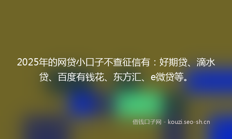 2025年的网贷小口子不查征信有：好期贷、滴水贷、百度有钱花、东方汇、e微贷等。