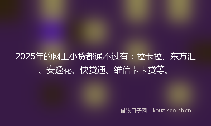 2025年的网上小贷都通不过有：拉卡拉、东方汇、安逸花、快贷通、维信卡卡贷等。