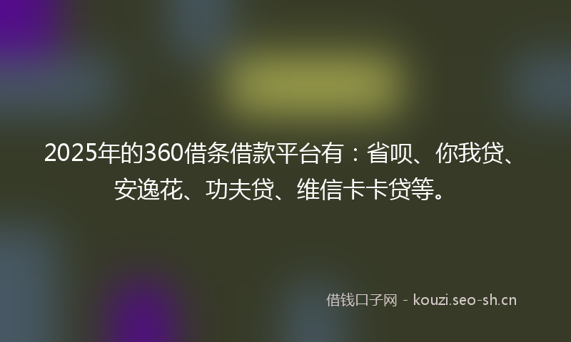 2025年的360借条借款平台有：省呗、你我贷、安逸花、功夫贷、维信卡卡贷等。