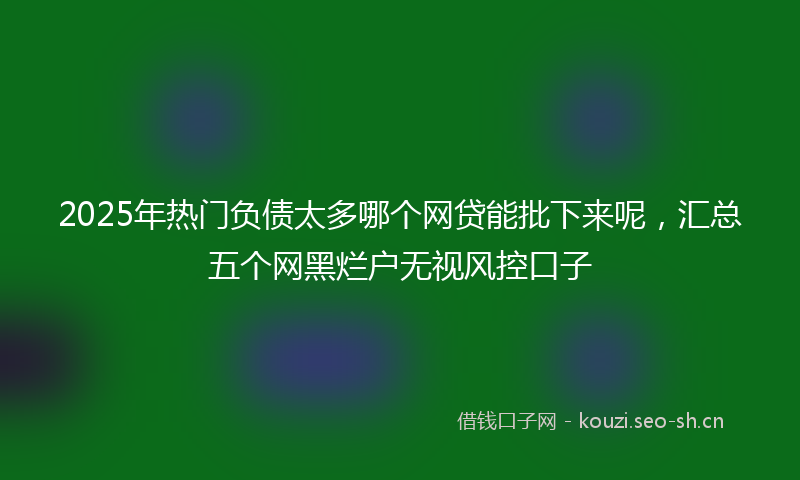 2025年热门负债太多哪个网贷能批下来呢,汇总五个网黑烂户无视风控口子