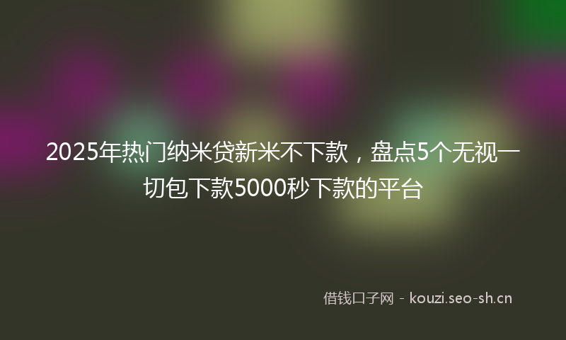 2025年热门纳米贷新米不下款，盘点5个无视一切包下款5000秒下款的平台