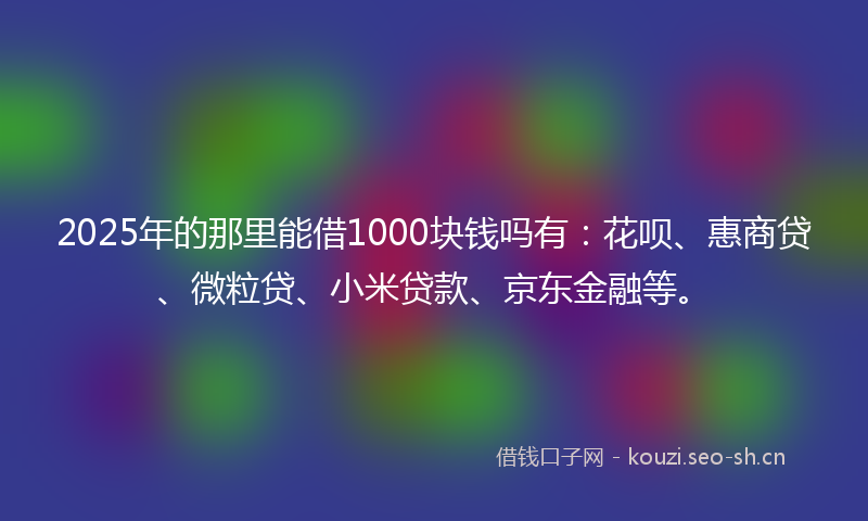 2025年的那里能借1000块钱吗有：花呗、惠商贷、微粒贷、小米贷款、京东金融等。