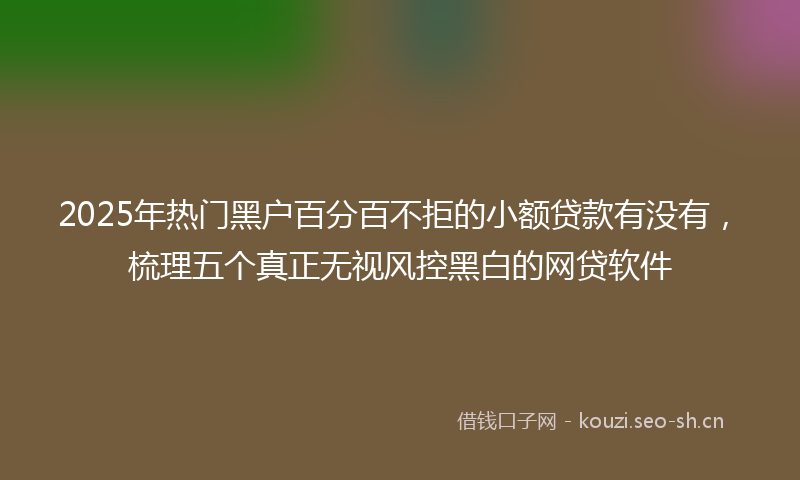 2025年热门黑户百分百不拒的小额贷款有没有，梳理五个真正无视风控黑白的网贷软件