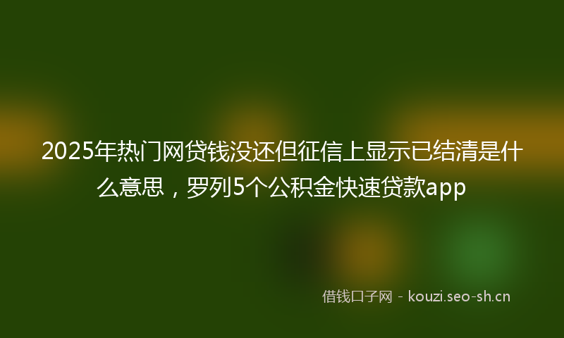 2025年热门网贷钱没还但征信上显示已结清是什么意思，罗列5个公积金快速贷款app