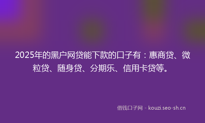 2025年的黑户网贷能下款的口子有：惠商贷、微粒贷、随身贷、分期乐、信用卡贷等。