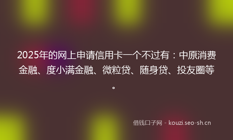 2025年的网上申请信用卡一个不过有：中原消费金融、度小满金融、微粒贷、随身贷、投友圈等。