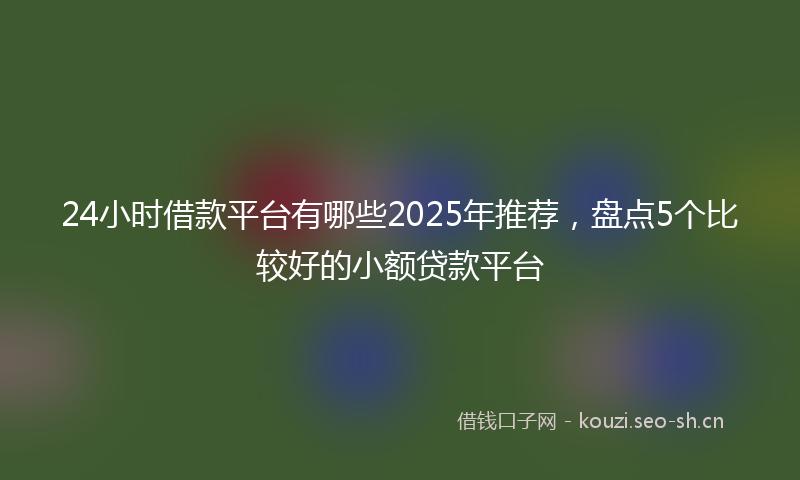 24小时借款平台有哪些2025年推荐，盘点5个比较好的小额贷款平台