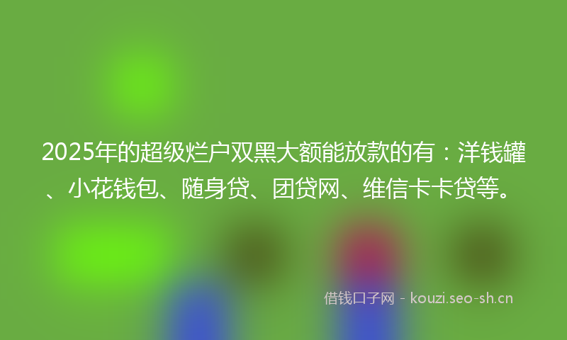 2025年的超级烂户双黑大额能放款的有：洋钱罐、小花钱包、随身贷、团贷网、维信卡卡贷等。