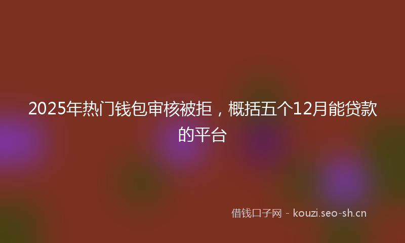 2025年热门钱包审核被拒，概括五个12月能贷款的平台