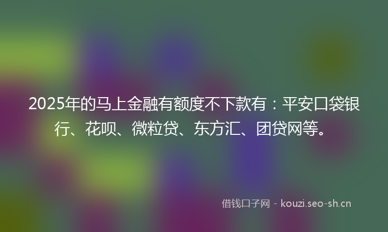 2025年的马上金融有额度不下款有:平安口袋银行、花呗、微粒贷、东方汇、团贷网等。