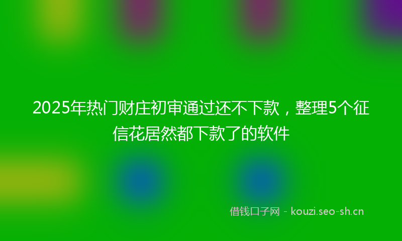 2025年热门财庄初审通过还不下款,整理5个征信花居然都下款了的软件