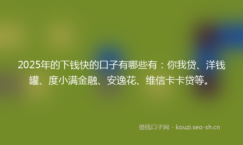 2025年的下钱快的口子有哪些有：你我贷、洋钱罐、度小满金融、安逸花、维信卡卡贷等。