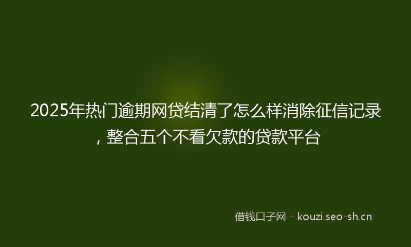 2025年热门逾期网贷结清了怎么样消除征信记录，整合五个不看欠款的贷款平台