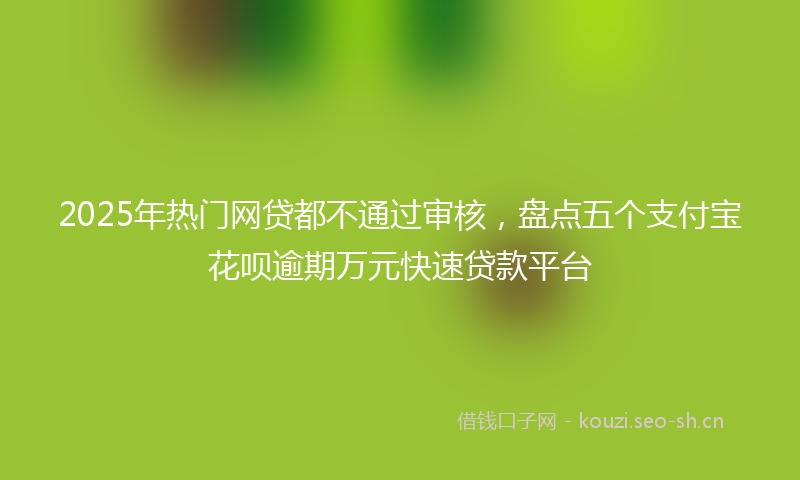 2025年热门网贷都不通过审核,盘点五个支付宝花呗逾期万元快速贷款平台