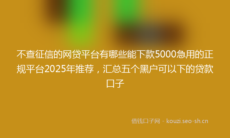 不查征信的网贷平台有哪些能下款5000急用的正规平台2025年推荐，汇总五个黑户可以下的贷款口子