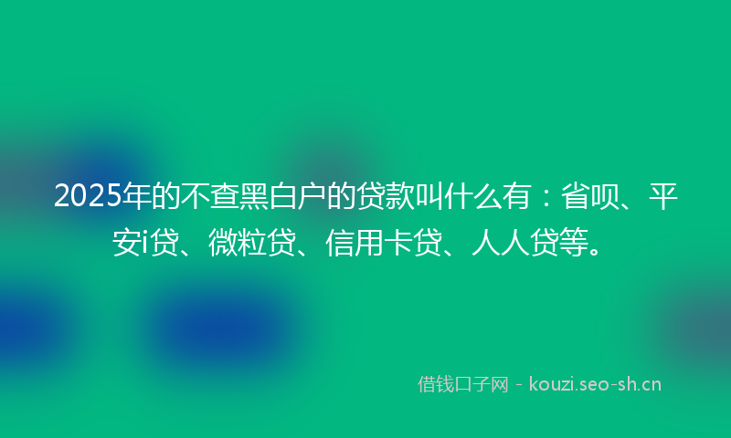 2025年的不查黑白户的贷款叫什么有：省呗、平安i贷、微粒贷、信用卡贷、人人贷等。