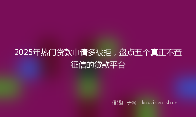 2025年热门贷款申请多被拒，盘点五个真正不查征信的贷款平台