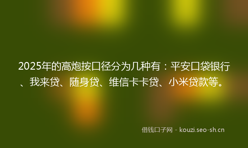 2025年的高炮按口径分为几种有：平安口袋银行、我来贷、随身贷、维信卡卡贷、小米贷款等。