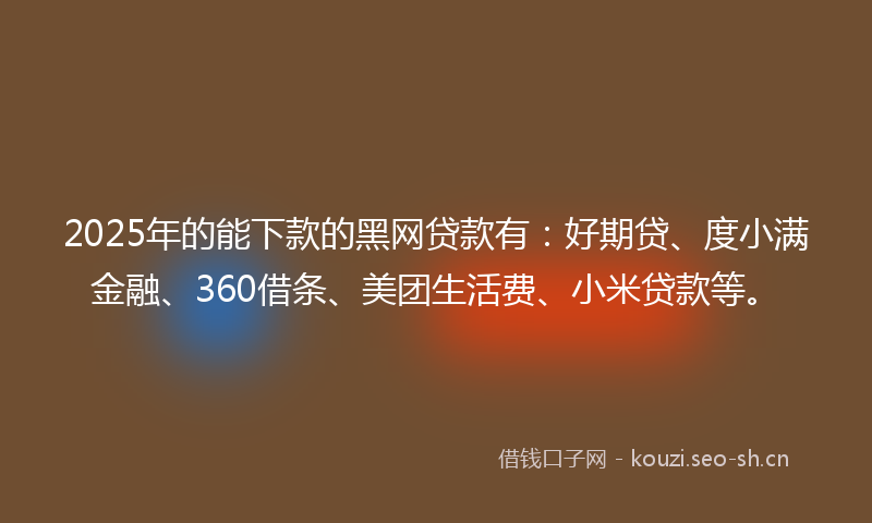 2025年的能下款的黑网贷款有：好期贷、度小满金融、360借条、美团生活费、小米贷款等。