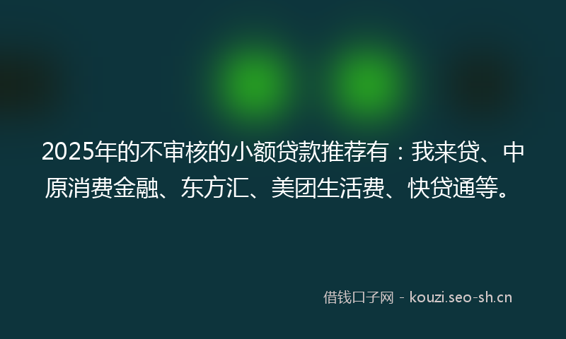 2025年的不审核的小额贷款推荐有：我来贷、中原消费金融、东方汇、美团生活费、快贷通等。