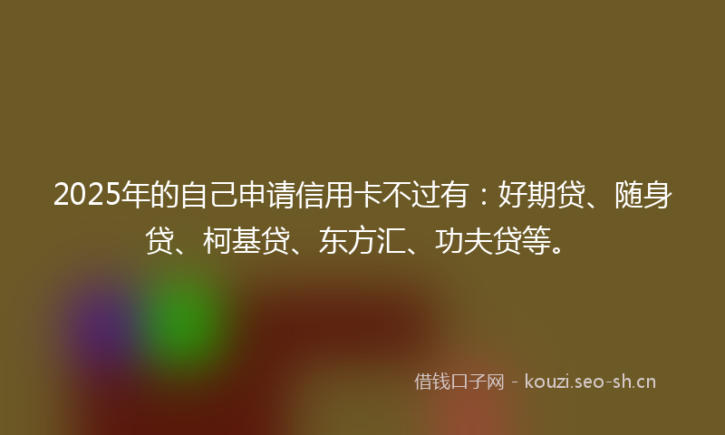 2025年的自己申请信用卡不过有：好期贷、随身贷、柯基贷、东方汇、功夫贷等。