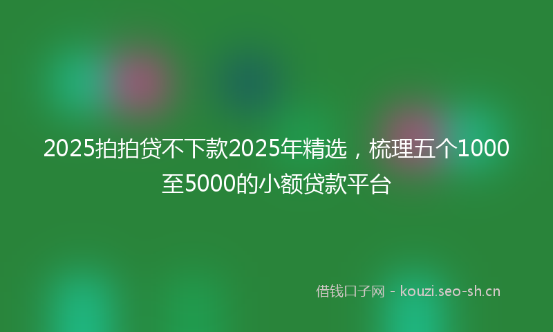 2025拍拍贷不下款2025年精选，梳理五个1000至5000的小额贷款平台