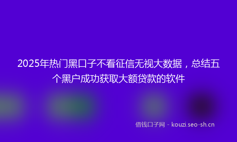 2025年热门黑口子不看征信无视大数据，总结五个黑户成功获取大额贷款的软件