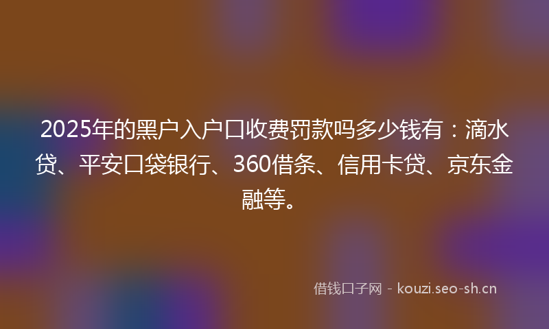2025年的黑户入户口收费罚款吗多少钱有：滴水贷、平安口袋银行、360借条、信用卡贷、京东金融等。
