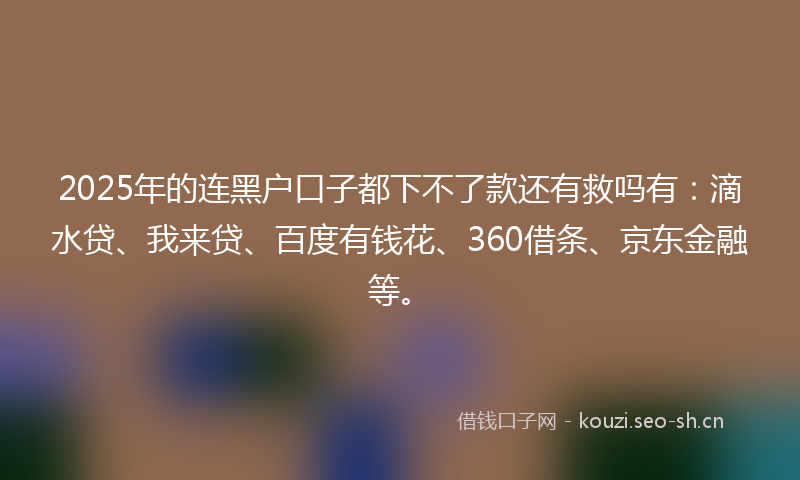 2025年的连黑户口子都下不了款还有救吗有：滴水贷、我来贷、百度有钱花、360借条、京东金融等。