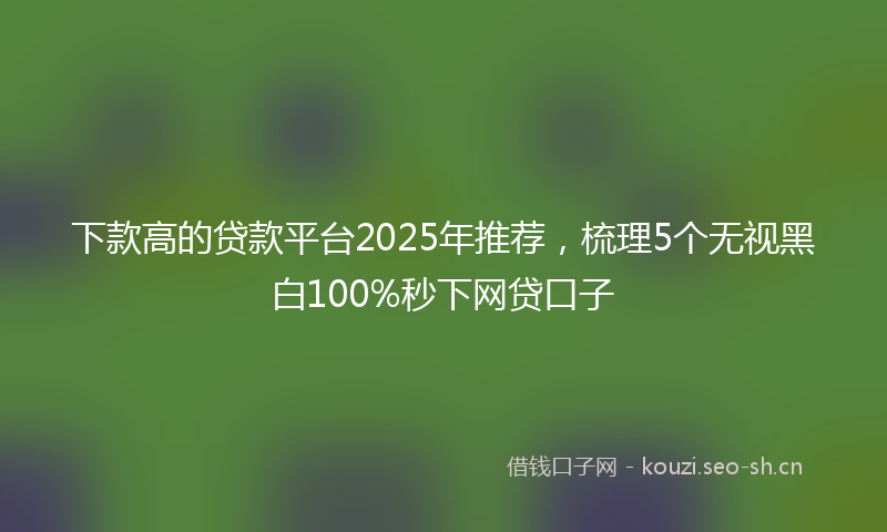 下款高的贷款平台2025年推荐，梳理5个无视黑白100%秒下网贷口子