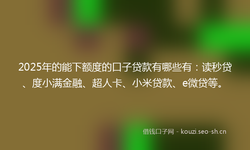 2025年的能下额度的口子贷款有哪些有：读秒贷、度小满金融、超人卡、小米贷款、e微贷等。