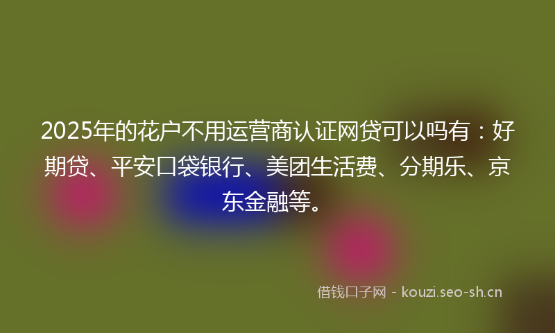 2025年的花户不用运营商认证网贷可以吗有：好期贷、平安口袋银行、美团生活费、分期乐、京东金融等。
