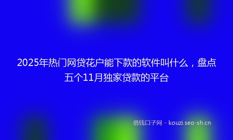 2025年热门网贷花户能下款的软件叫什么，盘点五个11月独家贷款的平台