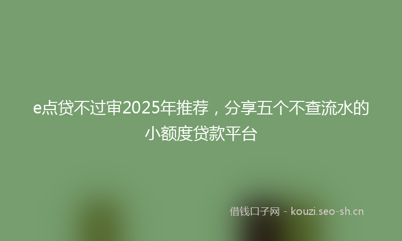 e点贷不过审2025年推荐,分享五个不查流水的小额度贷款平台