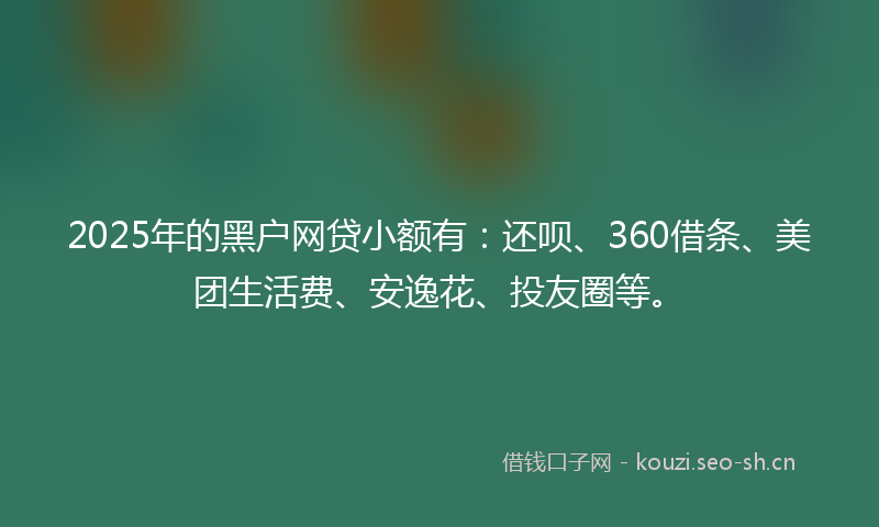 2025年的黑户网贷小额有：还呗、360借条、美团生活费、安逸花、投友圈等。