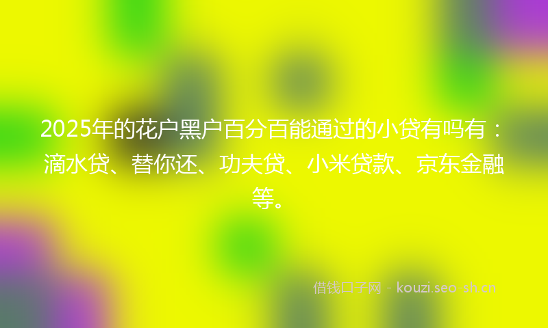 2025年的花户黑户百分百能通过的小贷有吗有：滴水贷、替你还、功夫贷、小米贷款、京东金融等。