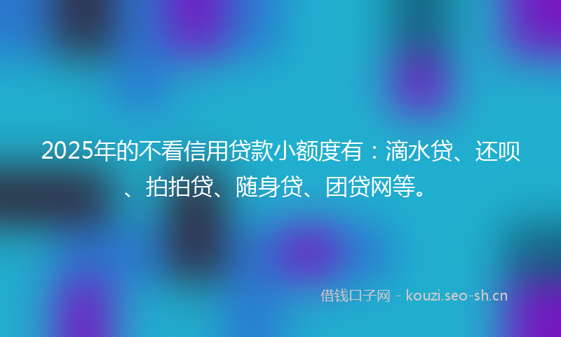 2025年的不看信用贷款小额度有：滴水贷、还呗、拍拍贷、随身贷、团贷网等。