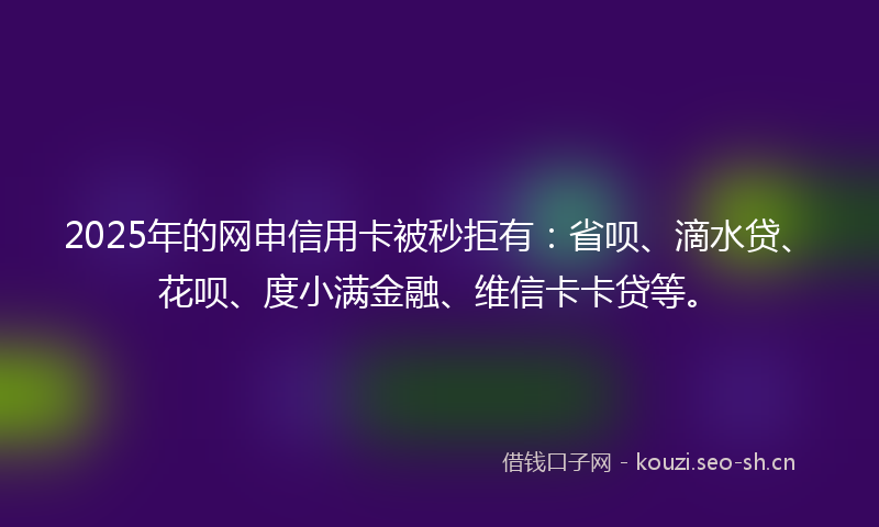2025年的网申信用卡被秒拒有：省呗、滴水贷、花呗、度小满金融、维信卡卡贷等。