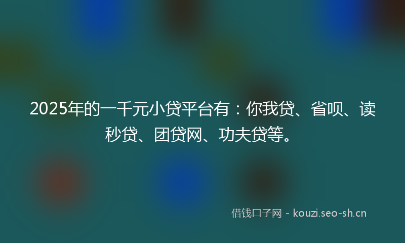 2025年的一千元小贷平台有：你我贷、省呗、读秒贷、团贷网、功夫贷等。