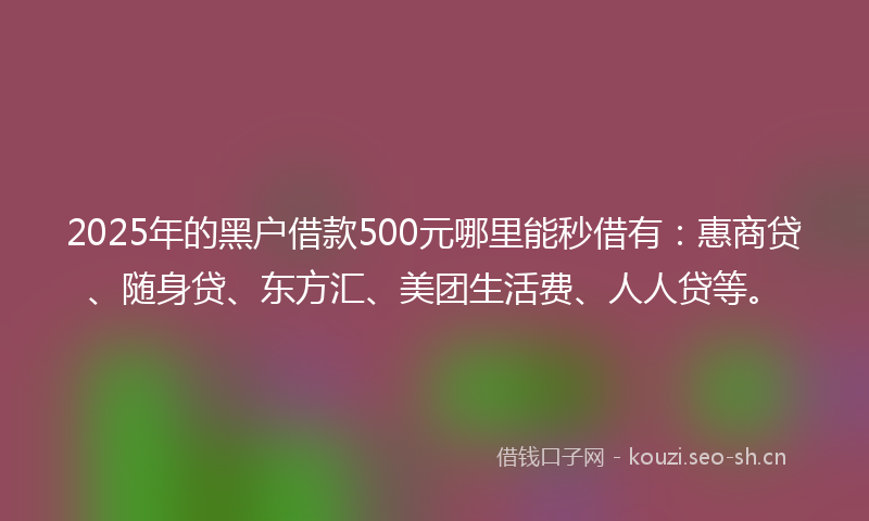 2025年的黑户借款500元哪里能秒借有：惠商贷、随身贷、东方汇、美团生活费、人人贷等。