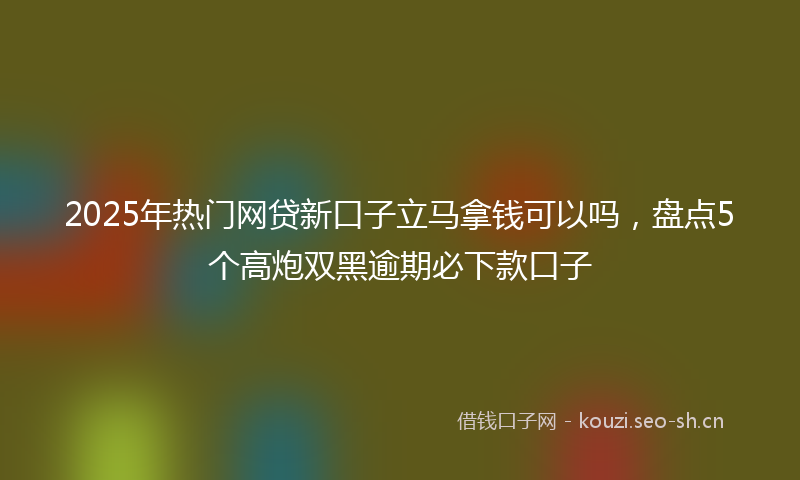 2025年热门网贷新口子立马拿钱可以吗，盘点5个高炮双黑逾期必下款口子