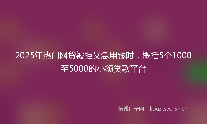 2025年热门网贷被拒又急用钱时，概括5个1000至5000的小额贷款平台