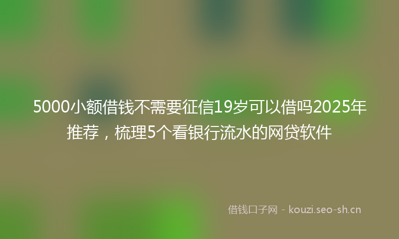 5000小额借钱不需要征信19岁可以借吗2025年推荐，梳理5个看银行流水的网贷软件