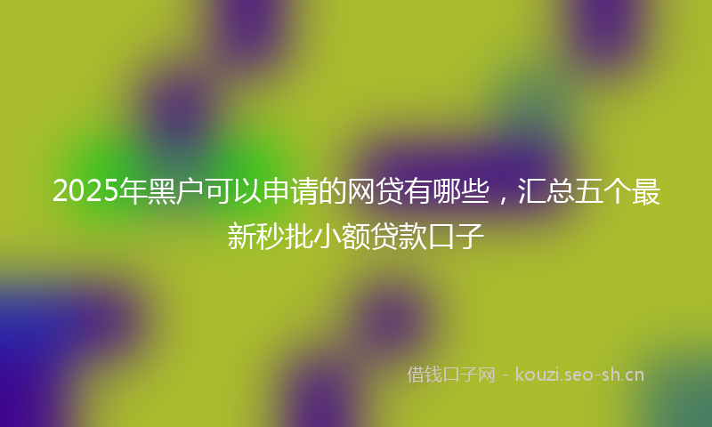 2025年黑户可以申请的网贷有哪些,汇总五个最新秒批小额贷款口子
