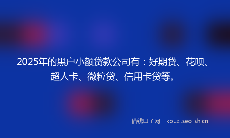 2025年的黑户小额贷款公司有：好期贷、花呗、超人卡、微粒贷、信用卡贷等。