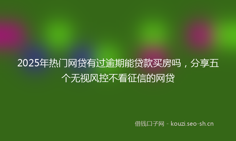 2025年热门网贷有过逾期能贷款买房吗，分享五个无视风控不看征信的网贷