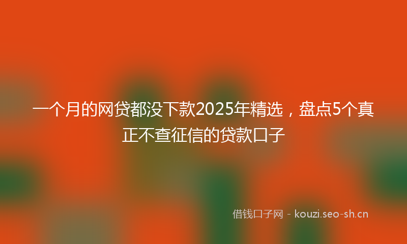 一个月的网贷都没下款2025年精选，盘点5个真正不查征信的贷款口子