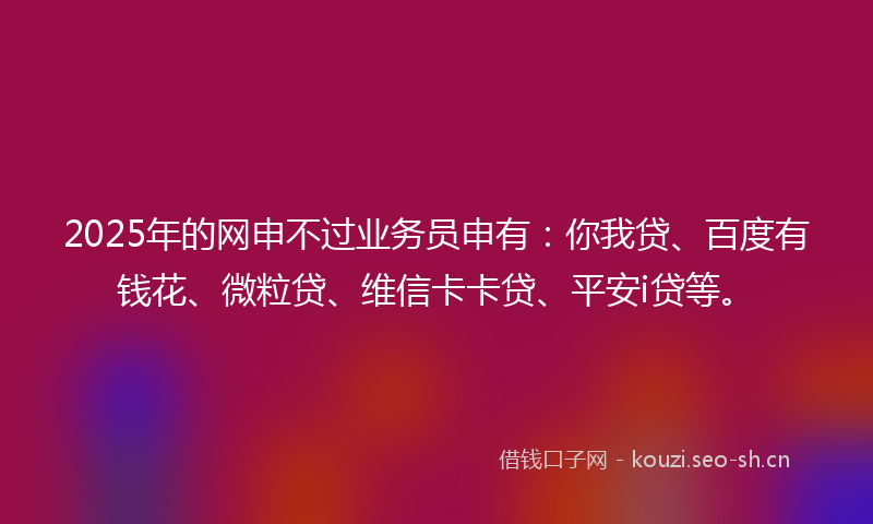 2025年的网申不过业务员申有：你我贷、百度有钱花、微粒贷、维信卡卡贷、平安i贷等。