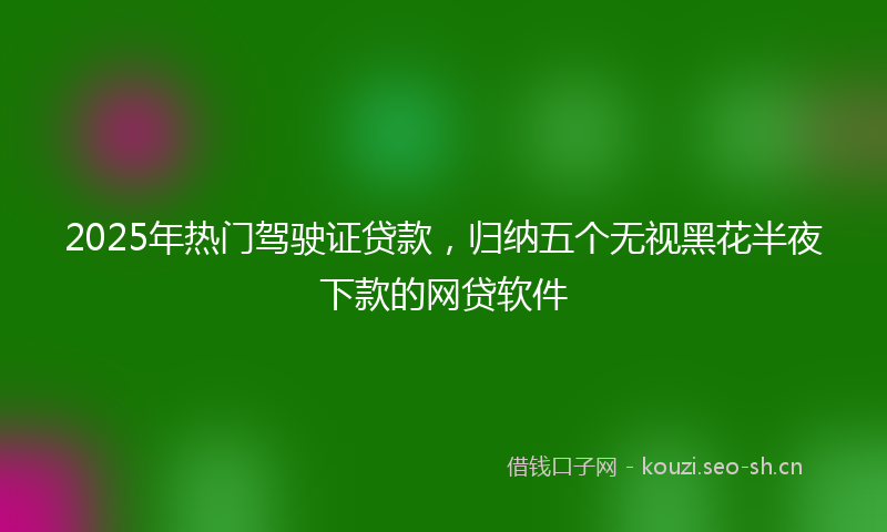 2025年热门驾驶证贷款，归纳五个无视黑花半夜下款的网贷软件